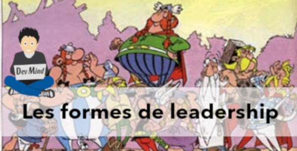 Les différentes formes de leadership dans un village gaulois.... Parallèle avec la célèbre BD Astérix et Obélix