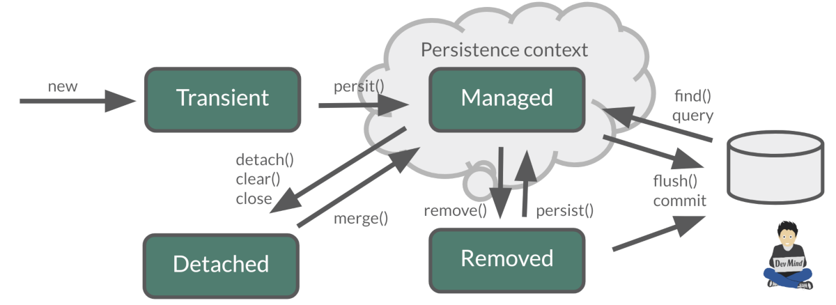 lifecycle